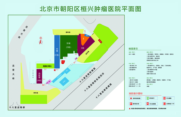 插蜜穴视频北京市朝阳区桓兴肿瘤医院平面图